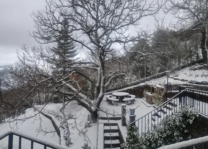 Estrella De Nieve